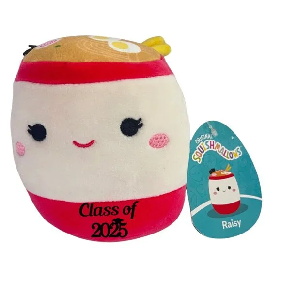 Set of 6 Squishmallows 5 Mini Plush Customized with Class of 2025